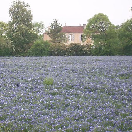Bed and Breakfast Manoir Angle à Blanzay-sur-Boutonne Extérieur photo
